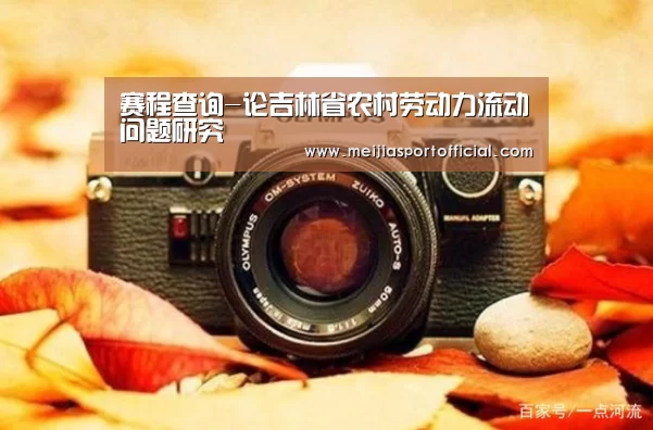 赛程查询-论吉林省农村劳动力流动问题研究(图2) 2026美加墨