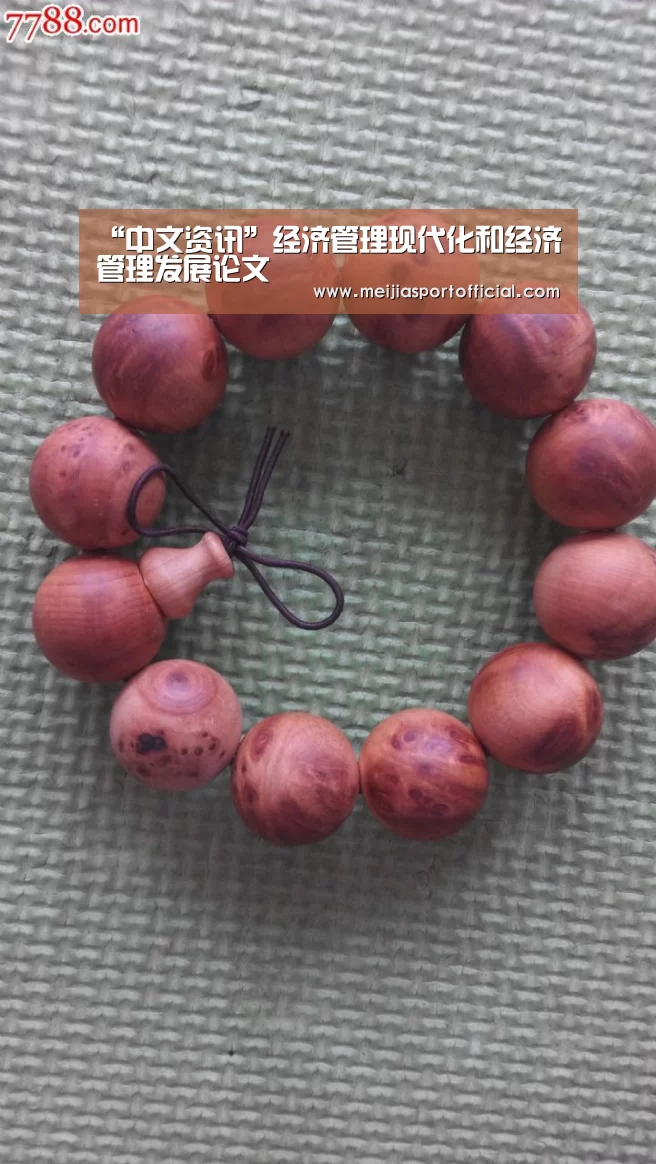 “中文资讯”经济管理现代化和经济管理发展论文(图1) 中文资讯